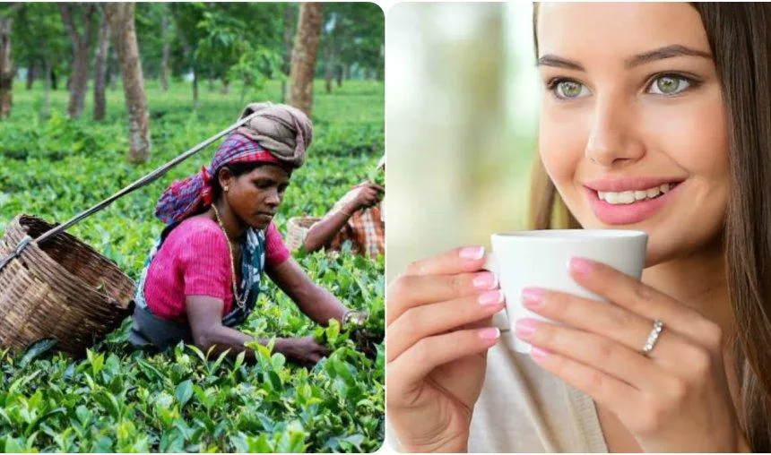 Price Hike Soon: अगले महीने से चाय की चुस्‍की पड़ेगी महंगी, केन्‍या में सूखे की वजह से 10-15 रुपए/किलो बढ़ेंगी कीमतें- India TV Paisa