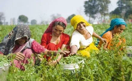 केन्द्र ने राज्यों से कृषि कोष का 30 प्रतिशत महिला किसानों पर खर्च करने को कहा- India TV Paisa
