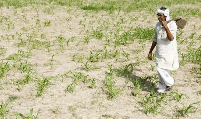 farmer- India TV Hindi