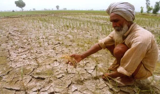 farmer- India TV Hindi