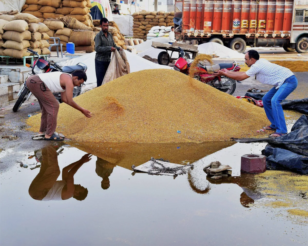 Record production of food grains- India TV Paisa