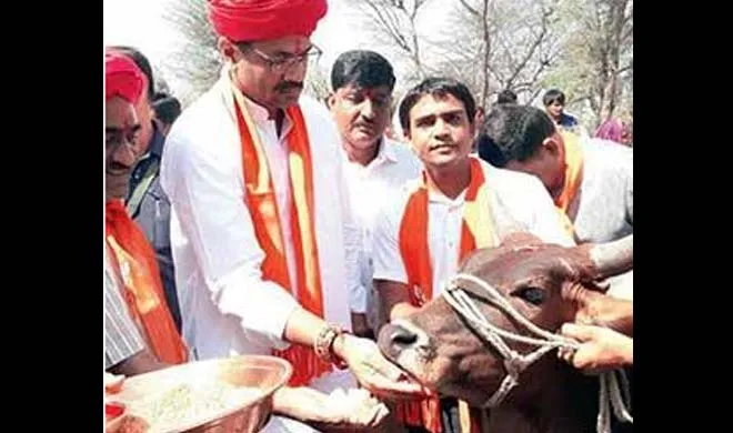 Gujarat Cow- India TV Hindi