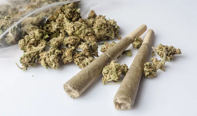 hasheesh- India TV Hindi