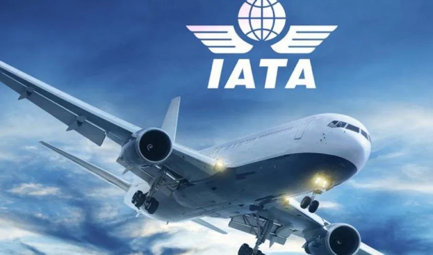 IATA ने पश्चिम एशिया के देशों द्वारा कतर पर लगाए गए हवाई यातायात अंकुश का किया विरोध- India TV Paisa