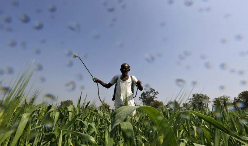 मोदी सरकार ने दी किसानों को राहत, 2017-18 में भी 3 लाख रुपए तक के कृषि ऋण पर मिलेगी 2 प्रतिशत ब्‍याज सब्सिडी- India TV Paisa