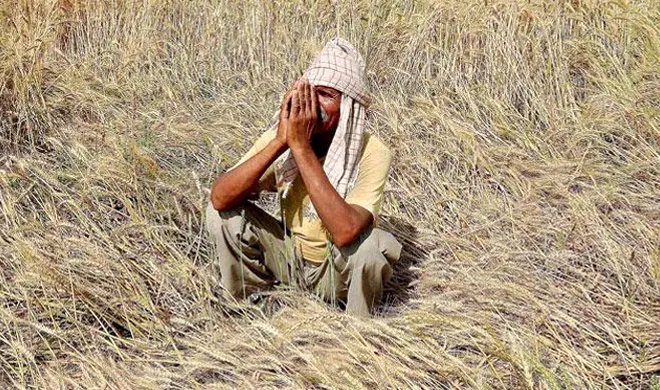 farmer- India TV Hindi