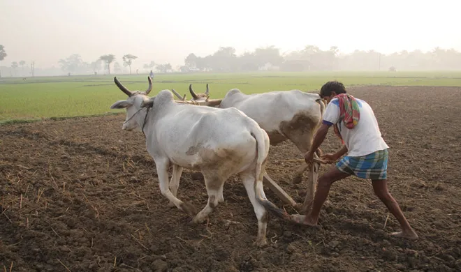 farmer- India TV Hindi