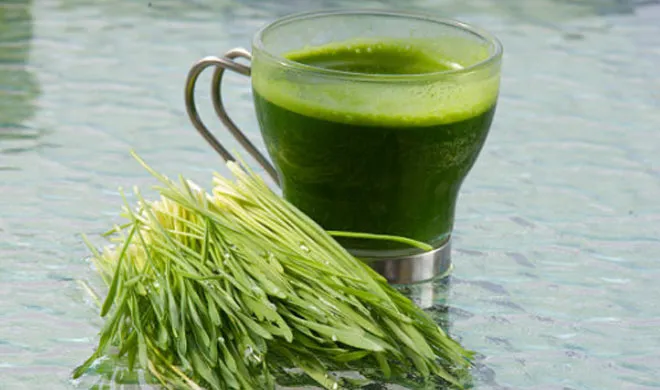 wheatgrass juice- India TV Hindi
