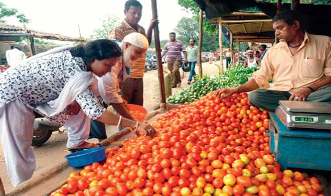 tomato-price- India TV Hindi