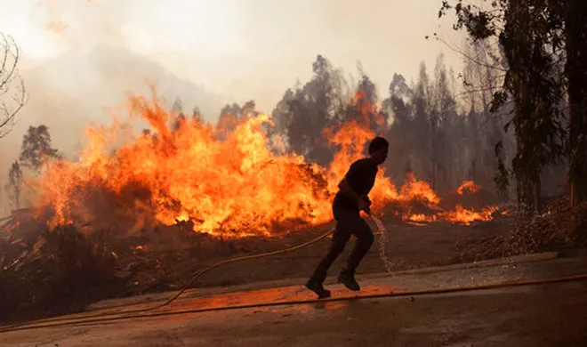 Portugal Fire | AP Photo- India TV Hindi