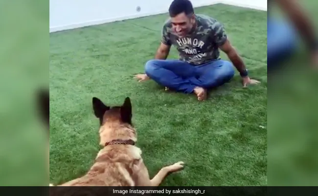 Dhoni with his pet dog- India TV Hindi