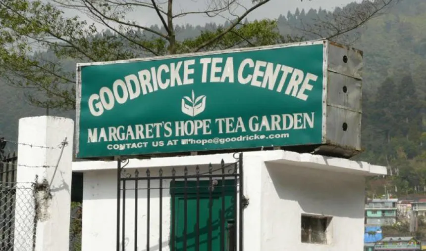 गॉडफ्रे फिलिप्स निकली चाय कारोबार से बाहर, गुडरिक को बेचे 20 करोड़ रुपए में अपने आठ ब्रांड- India TV Paisa