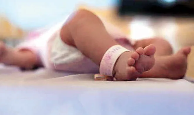 11 newborns die in 36 hours in Gujarat Civil Hospital- India TV Hindi