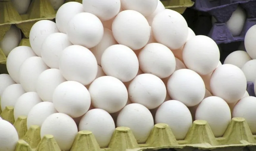 आपूर्ति कम होने से अंडा 40% तक महंगा, इस साल उत्पादन 30% कम- India TV Paisa