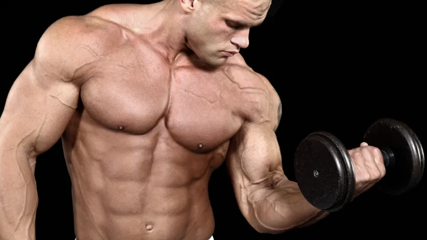 MUSCLES- India TV Hindi