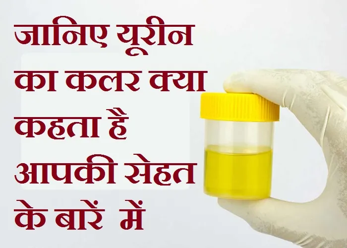 Urine color- India TV Hindi