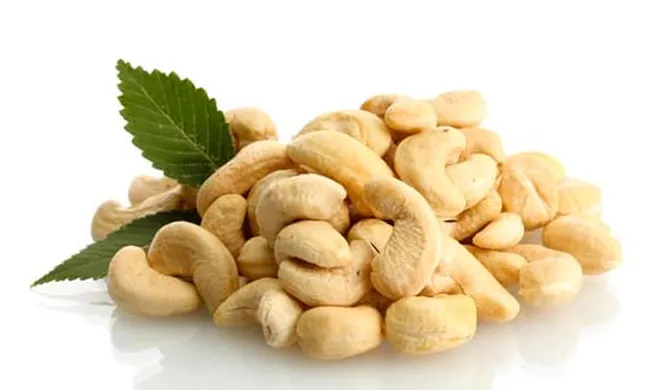 cashew nut- India TV Hindi