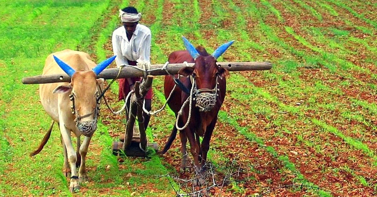 Farm Income- India TV Paisa