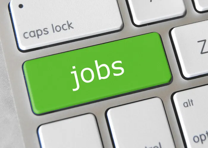 jobs recruitment- India TV Hindi