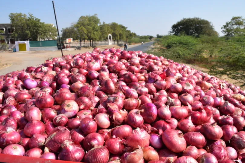 Onion price - India TV Paisa