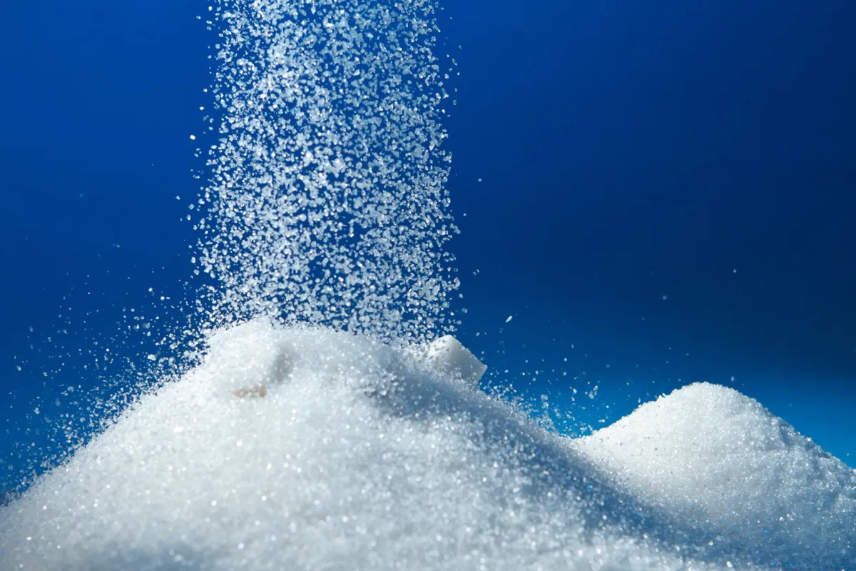 Sugar production estimated at record high- India TV Paisa