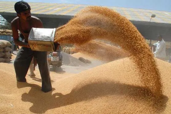 Wheat procurement - India TV Paisa