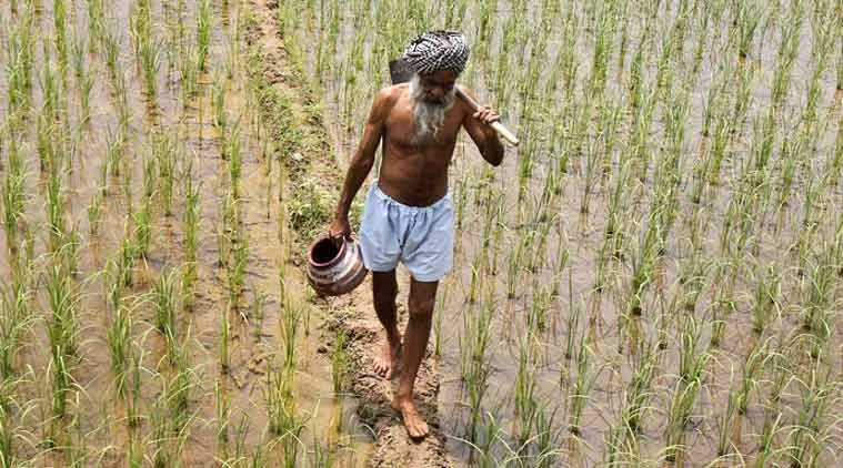 Agriculture Ministry To Soon Move Cabinet Note To Ensure Farmers Get MSP- India TV Paisa