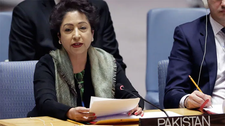 Pakistan raises Kashmir issue with UNSC president | AP Photo- India TV Hindi