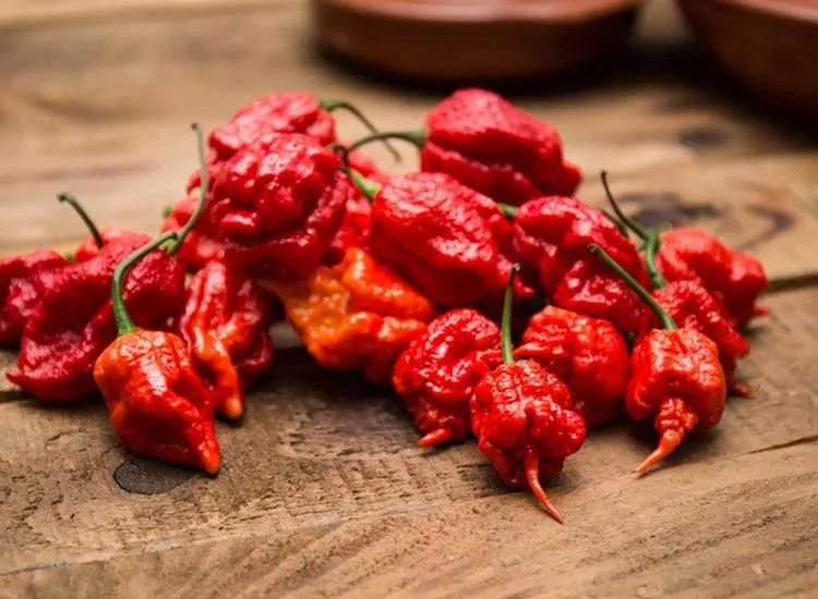 Man in hospital after eating world hottest chilli- India TV Hindi