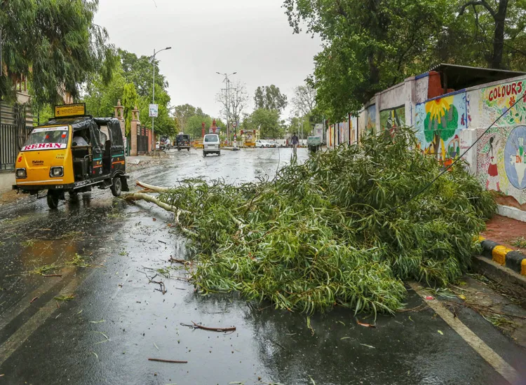 Commuters ride past a fallen tree after a thunderstorm in...- India TV Hindi