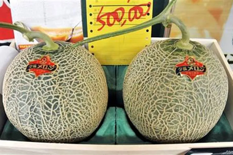 Japan: Pair of premium melons sell for record $29,300 | AP- India TV Hindi
