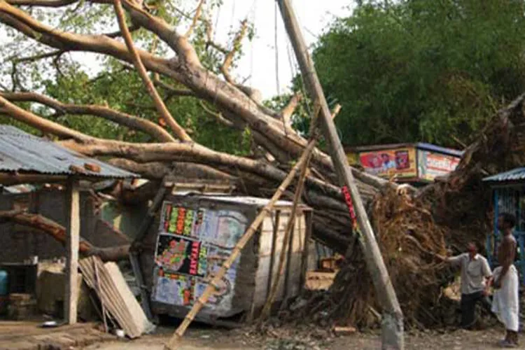 20 killed as lightning, thunderstorms lash Uttar Pradesh, West Bengal and Bihar- India TV Hindi