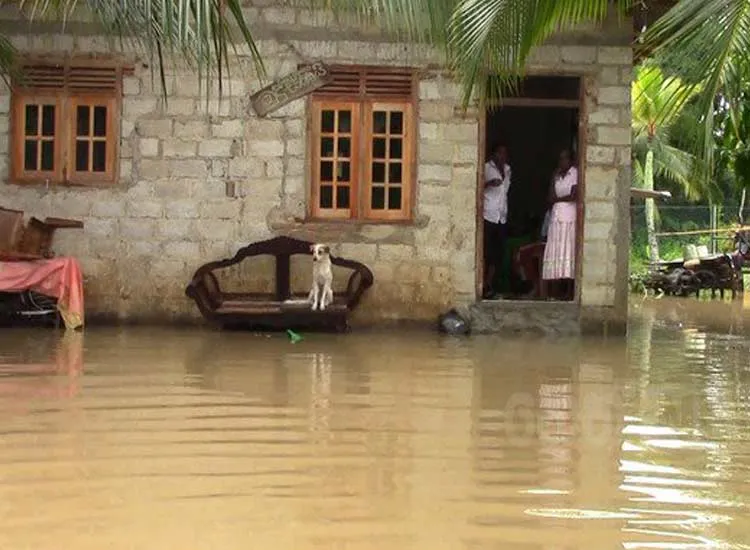 8 thousand people affected due to heavy rains in Sri Lanka- India TV Hindi