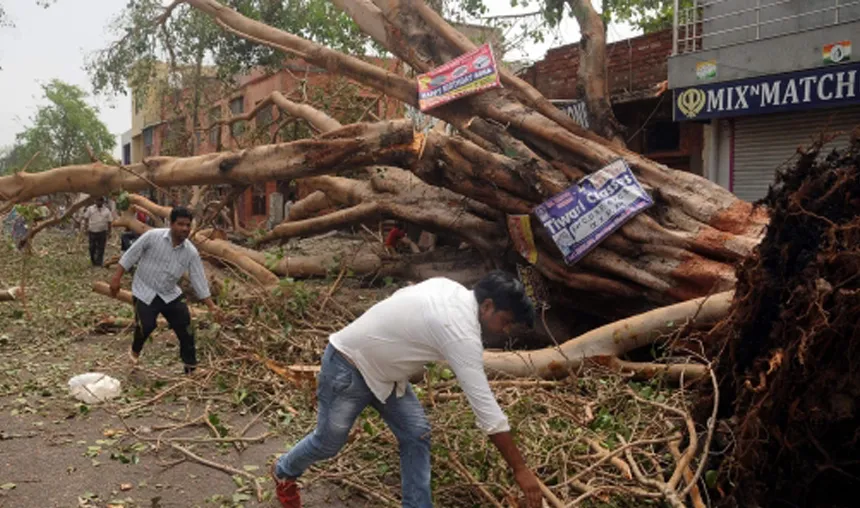 11 Killed As Dust, Thunderstorm Strikes Western Uttar Pradesh- India TV Hindi
