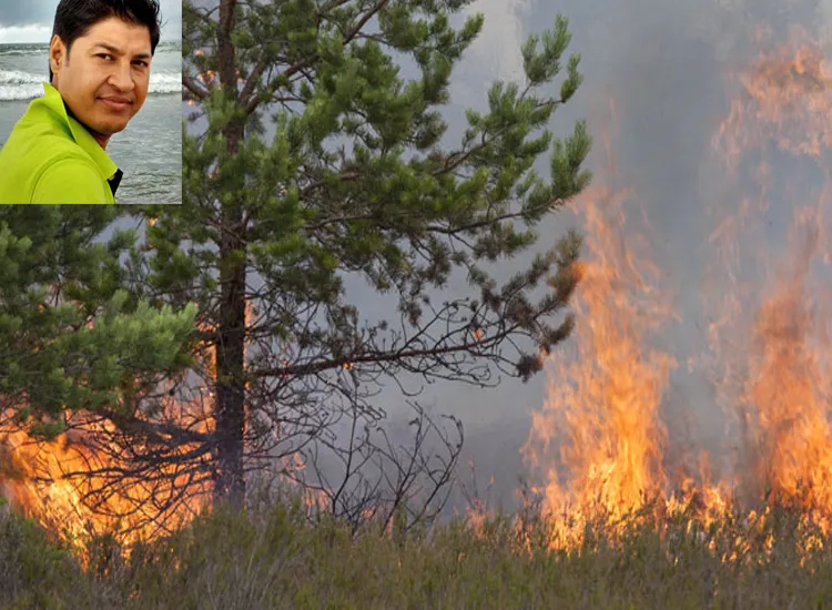 uttarakhand forest fire- India TV Hindi