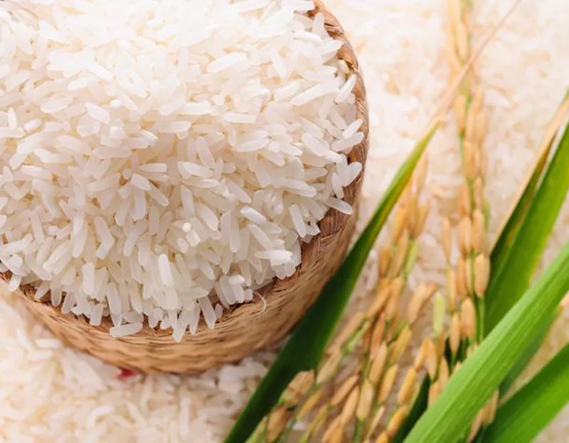 Chinese officials can visit Indian Rice mills for inspection this week- India TV Paisa