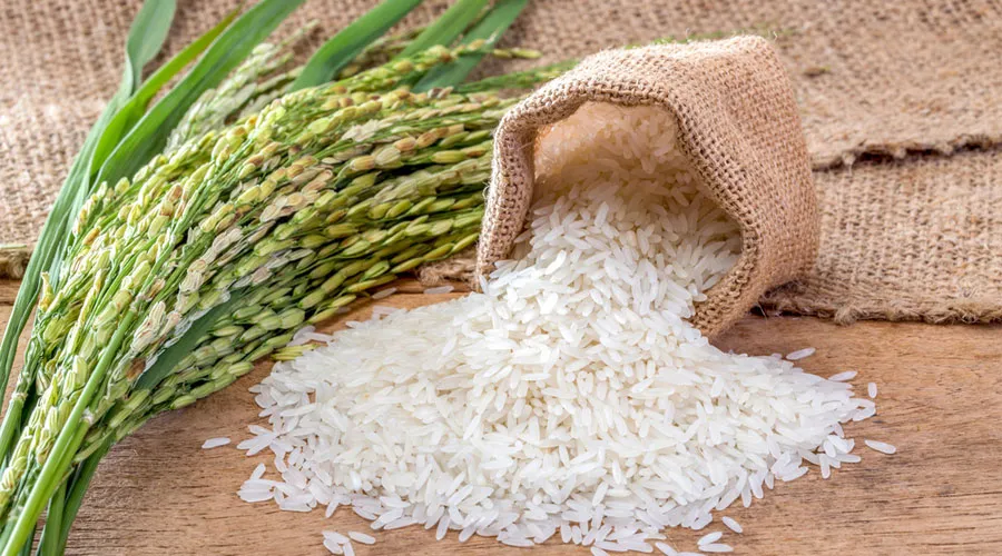 India rice export rose 17 percent during April and May - India TV Paisa