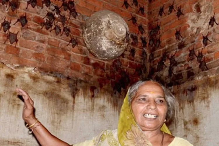 Meet 75-year-old woman Shantaben Prajapati living with thousands of bats in Gujarat- India TV Hindi