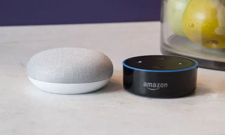 Google Home Mini Amazon Echo Dot- India TV Paisa