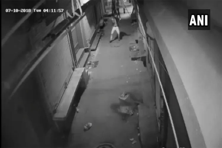 Thief caught on CCTV dancing before breaking into shops in Delhi | ANI- India TV Hindi