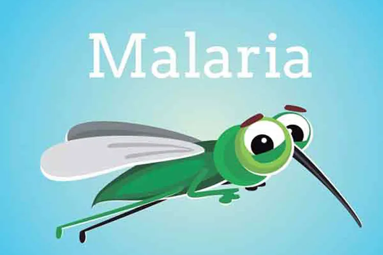 Malaria- India TV Hindi
