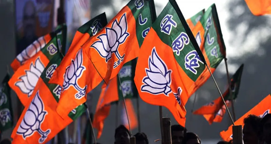 दक्षिण कश्मीर, शोपियां, भाजपा, चुनाव- India TV Hindi
