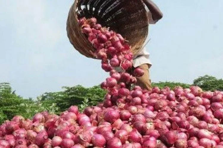Nashik farmer again writes to PMO, dubs report of low-quality onions as 'false' | AP File- India TV Hindi