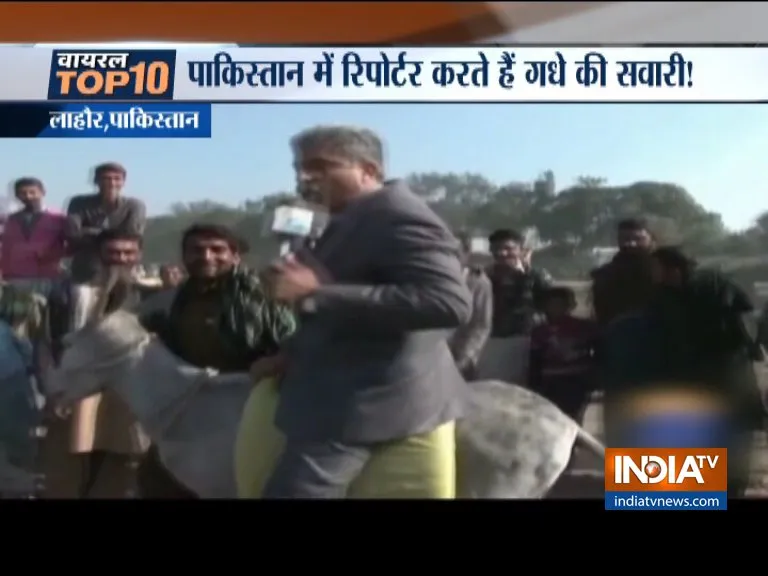 Pakistani journalist rides donkey while reporting- India TV Hindi
