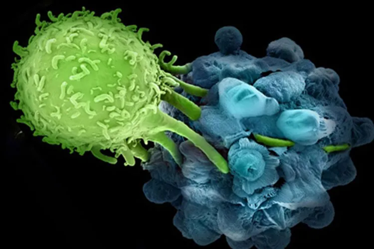 immunotherapy cancer- India TV Hindi