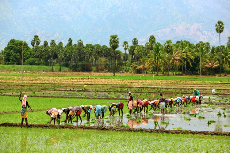 agricultural survey- India TV Hindi