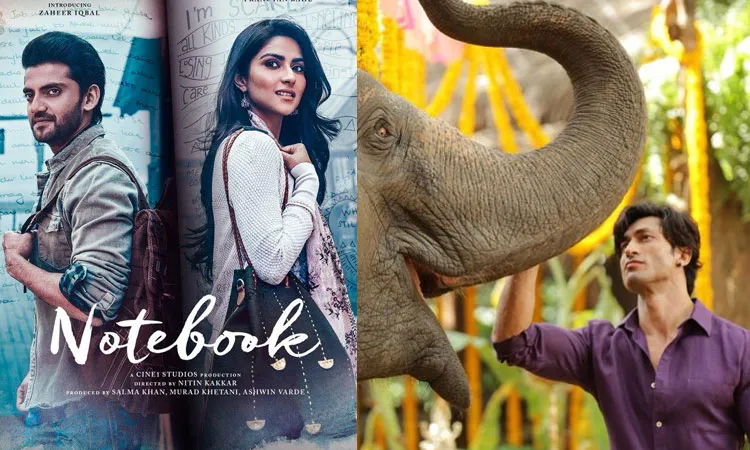 Notebook vs Junglee- India TV Hindi