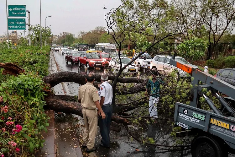 Police personnel look on as people remove a fallen tree...- India TV Hindi