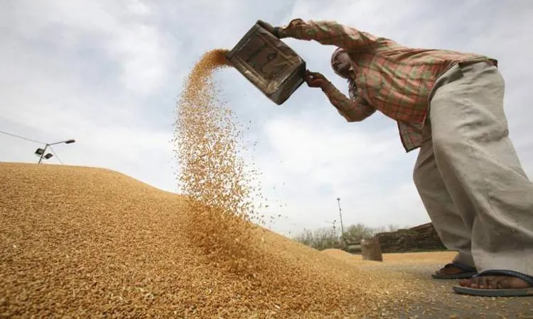 wheat procurement- India TV Paisa