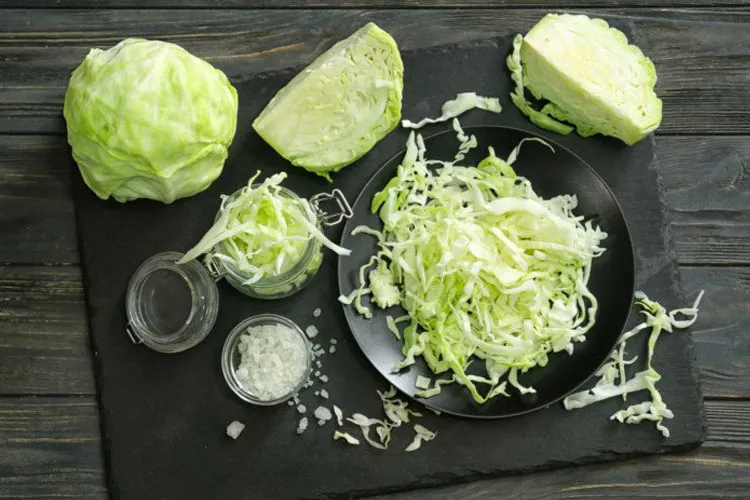 cabbage soup diet recipe - India TV Hindi